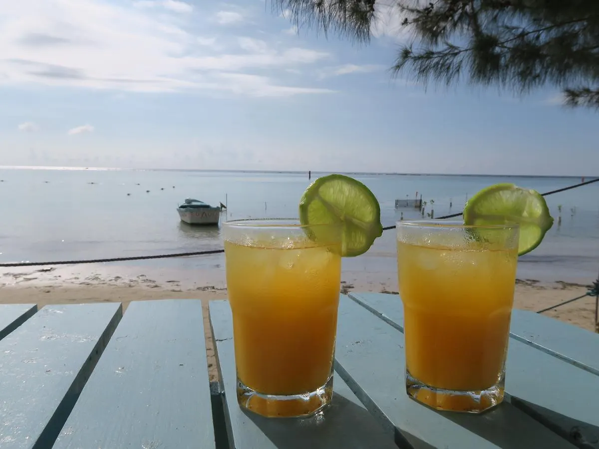 Eco Hotel Club Rolling Stone Boca Chica 2*,  Dominikana